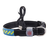 BrightTail LED Collar – Be Seen, Stay Safe