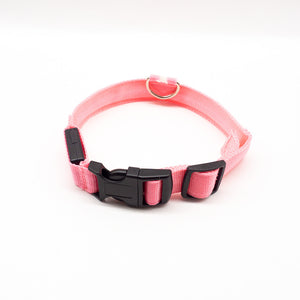 LED Dog Collar – Recharge, Shine, Repeat
