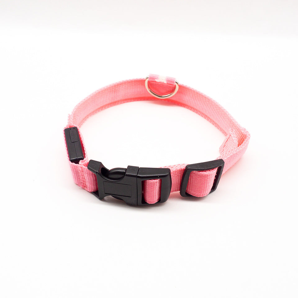 LED Dog Collar – Recharge, Shine, Repeat