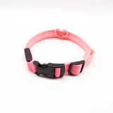 LED Dog Collar – Recharge, Shine, Repeat