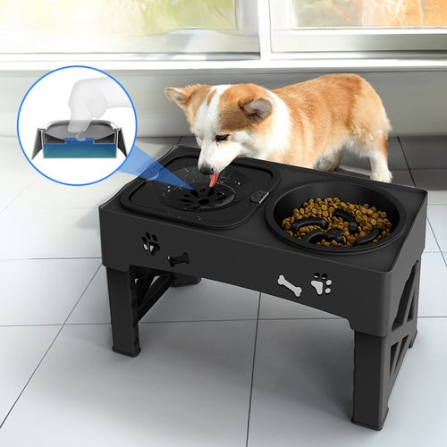 Happy Paws Double Bowl – Raised Stainless Steel Feeder