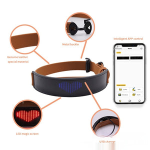 LED Display Dog Harness – Stylish Nighttime Visibility
