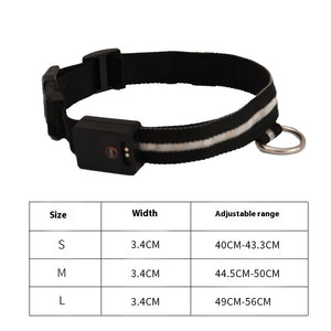 Colorful LED Dog Collar – Fun & Visible Walks