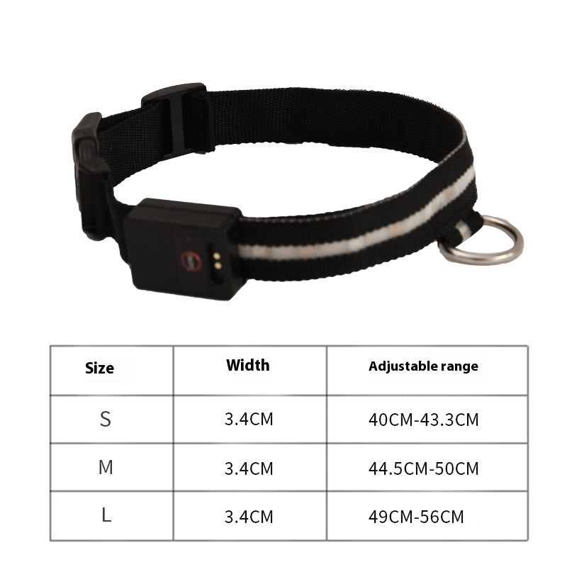 Colorful LED Dog Collar – Fun & Visible Walks