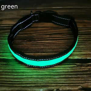 USB Rechargeable LED Dog Collar – Reflective Stripe Design