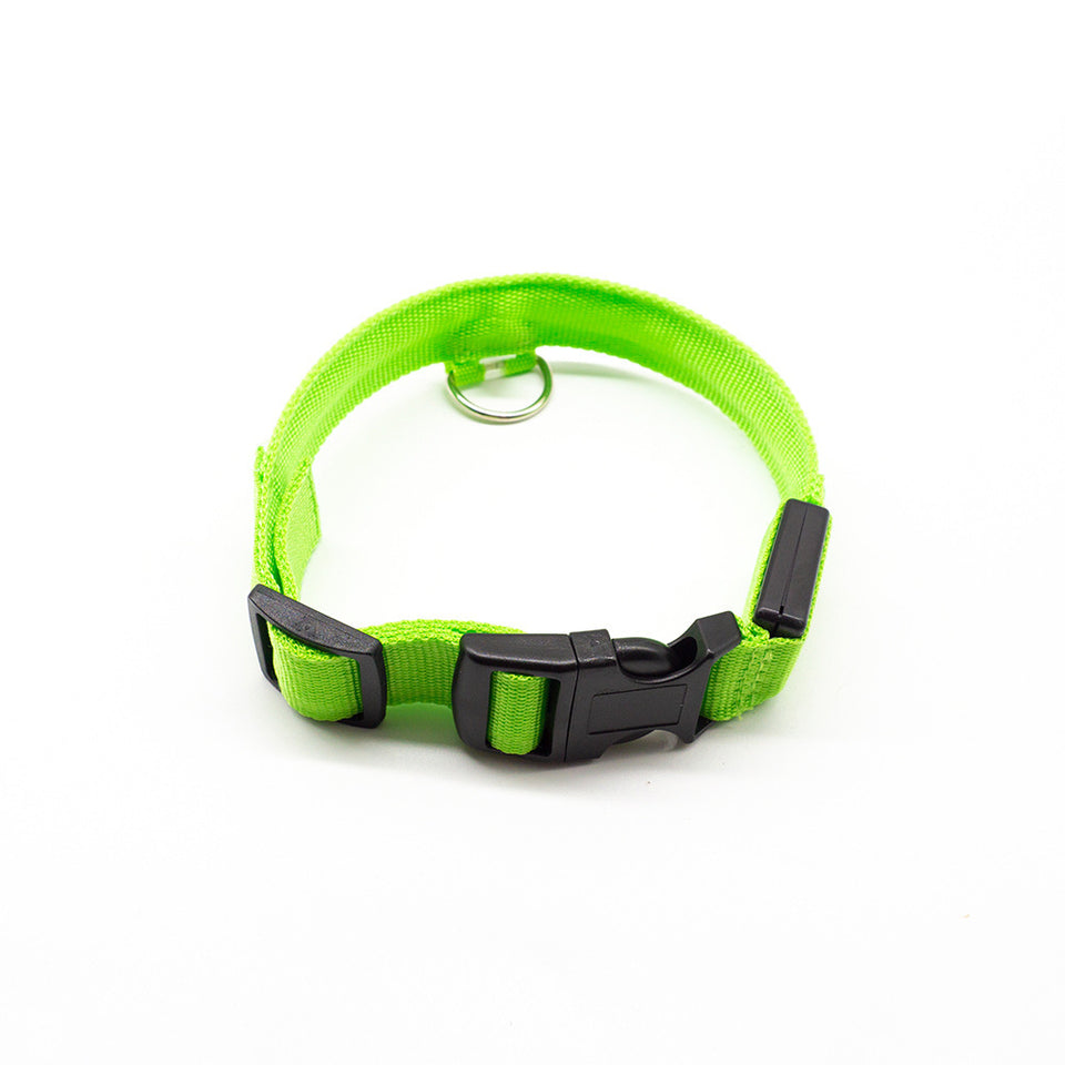 LED Dog Collar – Recharge, Shine, Repeat