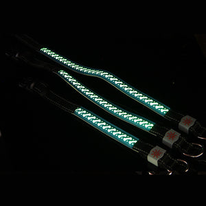 Luminous Embossed LED Dog Collar for Small & Large Dogs