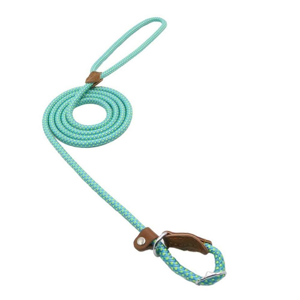 Strong P-Type Dog Collar with Reliable Leash