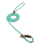 Strong P-Type Dog Collar with Reliable Leash
