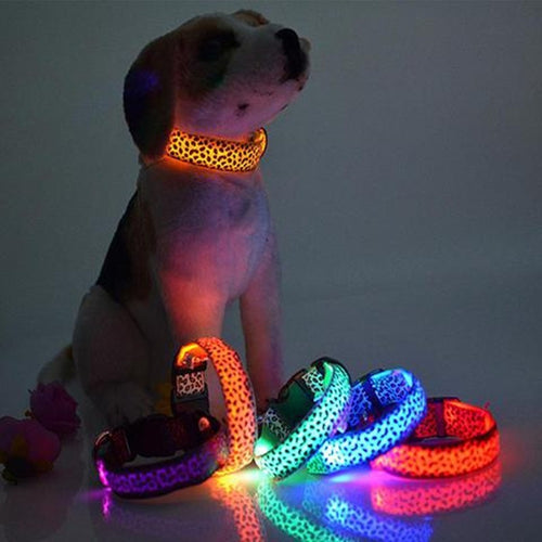 Adjustable LED Dog Collar – Bright and Fashionable