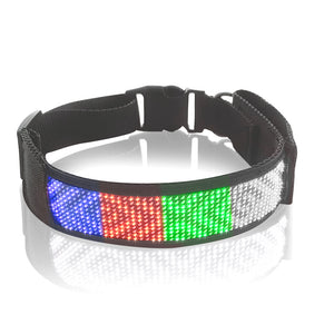 Luminous LED Dog Harness – Personalized Display for Safety