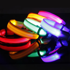 LED Safety Collar for Dogs – Stay Visible