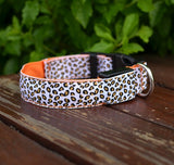 Adjustable LED Dog Collar – Bright and Fashionable