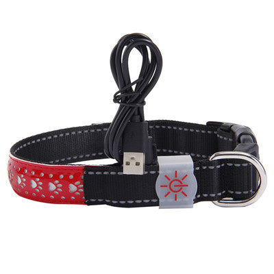 BrightTail LED Collar – Be Seen, Stay Safe
