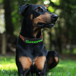 LED Display Dog Harness – Stylish Nighttime Visibility