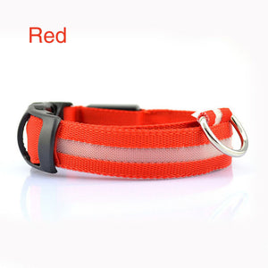 GlowSafe LED Dog Collar – Night Walks Made Bright