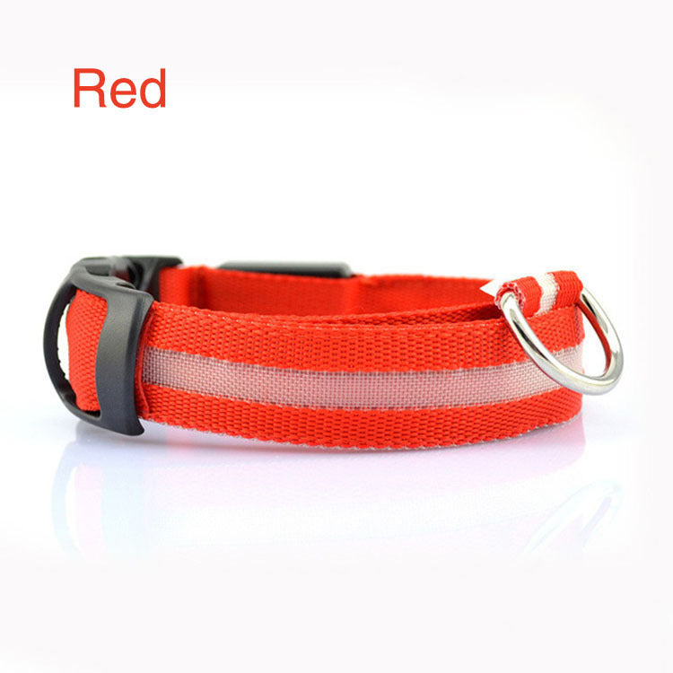 GlowSafe LED Dog Collar – Night Walks Made Bright