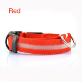 GlowSafe LED Dog Collar – Night Walks Made Bright