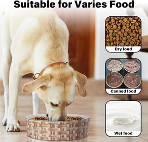 Durable Ceramic Dog Bowl – Prevents Gulping, Promotes Health