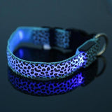 Adjustable LED Dog Collar – Bright and Fashionable