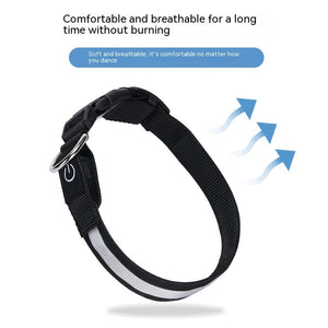 USB LED Dog Collar – Rechargeable Luminous Nylon Collar