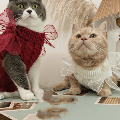 Adorable Pet Winter Sweater – Keep Dogs & Cats Warm