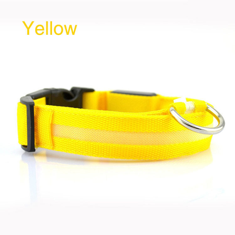 GlowSafe LED Dog Collar – Night Walks Made Bright