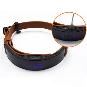 LED Display Dog Harness – Stylish Nighttime Visibility
