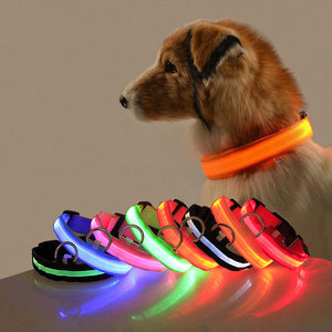 LED Safety Collar for Dogs – Stay Visible
