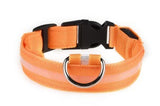 LED Dog Collar – Recharge, Shine, Repeat