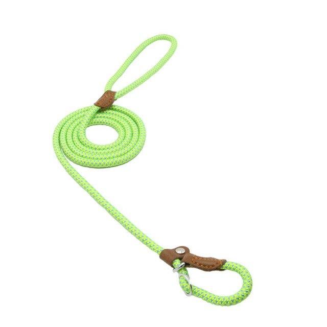 Strong P-Type Dog Collar with Reliable Leash