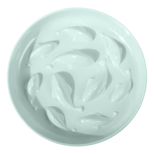 Dogs & Cats Slow Eating Bowl – Easy Feed