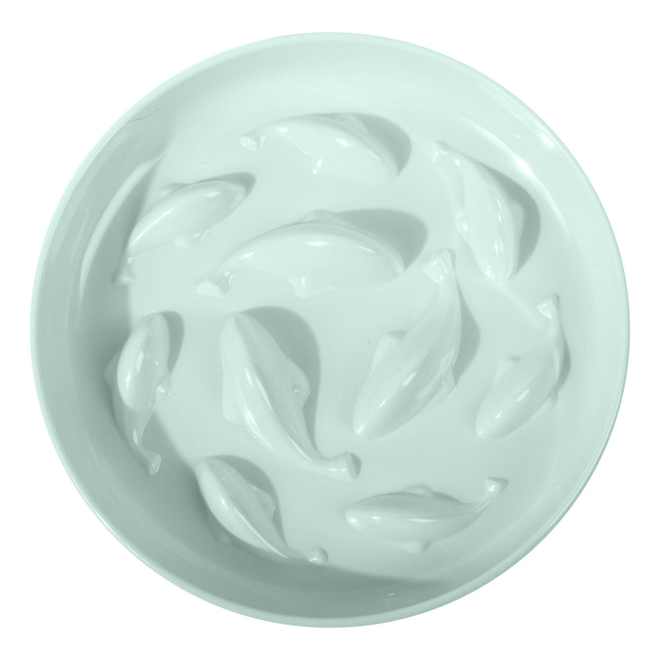 Dogs & Cats Slow Eating Bowl – Easy Feed