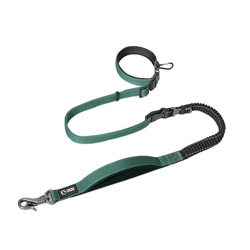 Durable Dog Leash for Running, Walking, and Travel