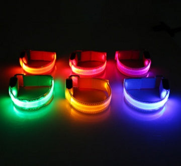 LED Safety Collar for Dogs – Stay Visible