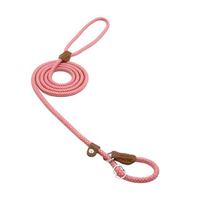 Strong P-Type Dog Collar with Reliable Leash