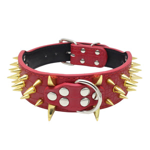 ToughPup Collar – Built to Last, Bite-Proof Design