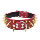 ToughPup Collar – Built to Last, Bite-Proof Design