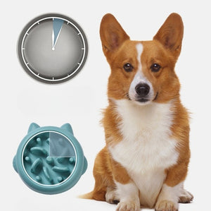 Home Slow Feeder Dish – Prevent Gulping and Overeating