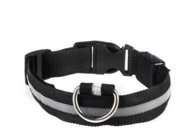 LED Dog Collar – Recharge, Shine, Repeat