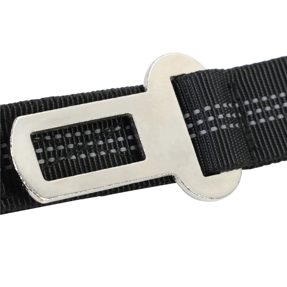 Strong Bungee Dog Leash for Large and Medium Dogs