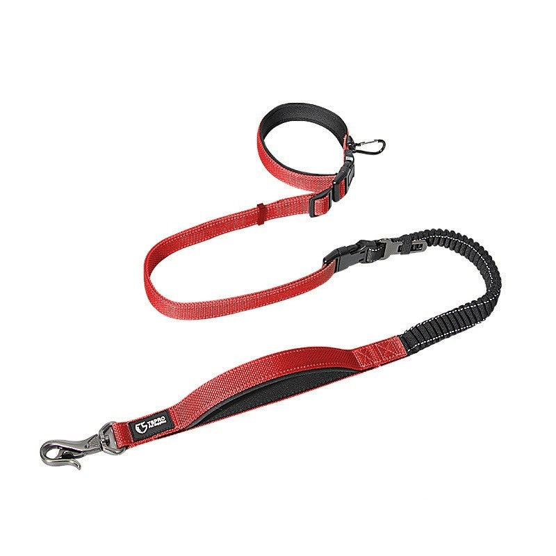 Durable Dog Leash for Running, Walking, and Travel