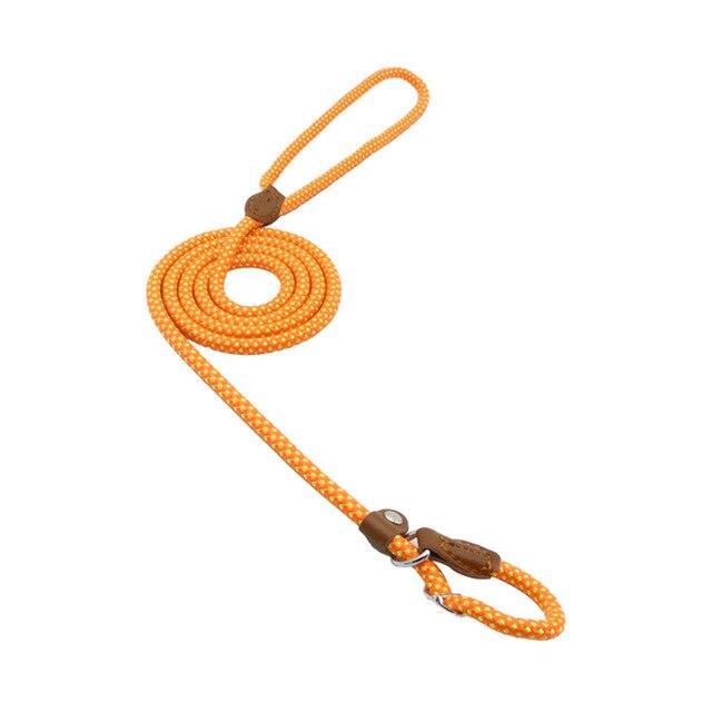 Strong P-Type Dog Collar with Reliable Leash