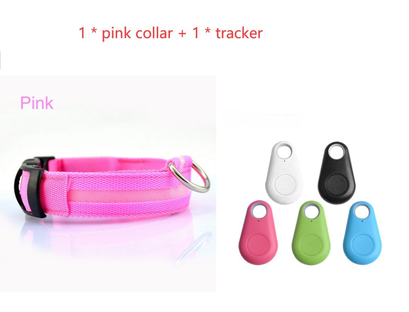 GlowSafe LED Dog Collar – Night Walks Made Bright
