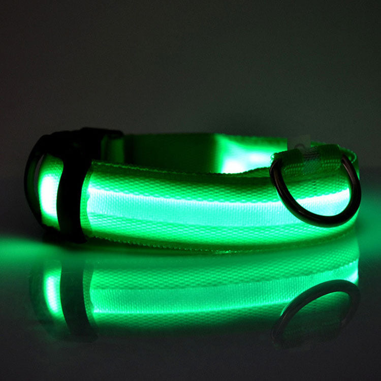 GlowSafe LED Dog Collar – Night Walks Made Bright