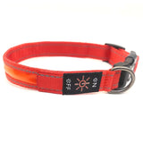 USB Rechargeable LED Dog Collar – Reflective Stripe Design