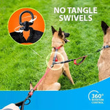 Durable Two-Dog Traction Belt for Comfortable Walks