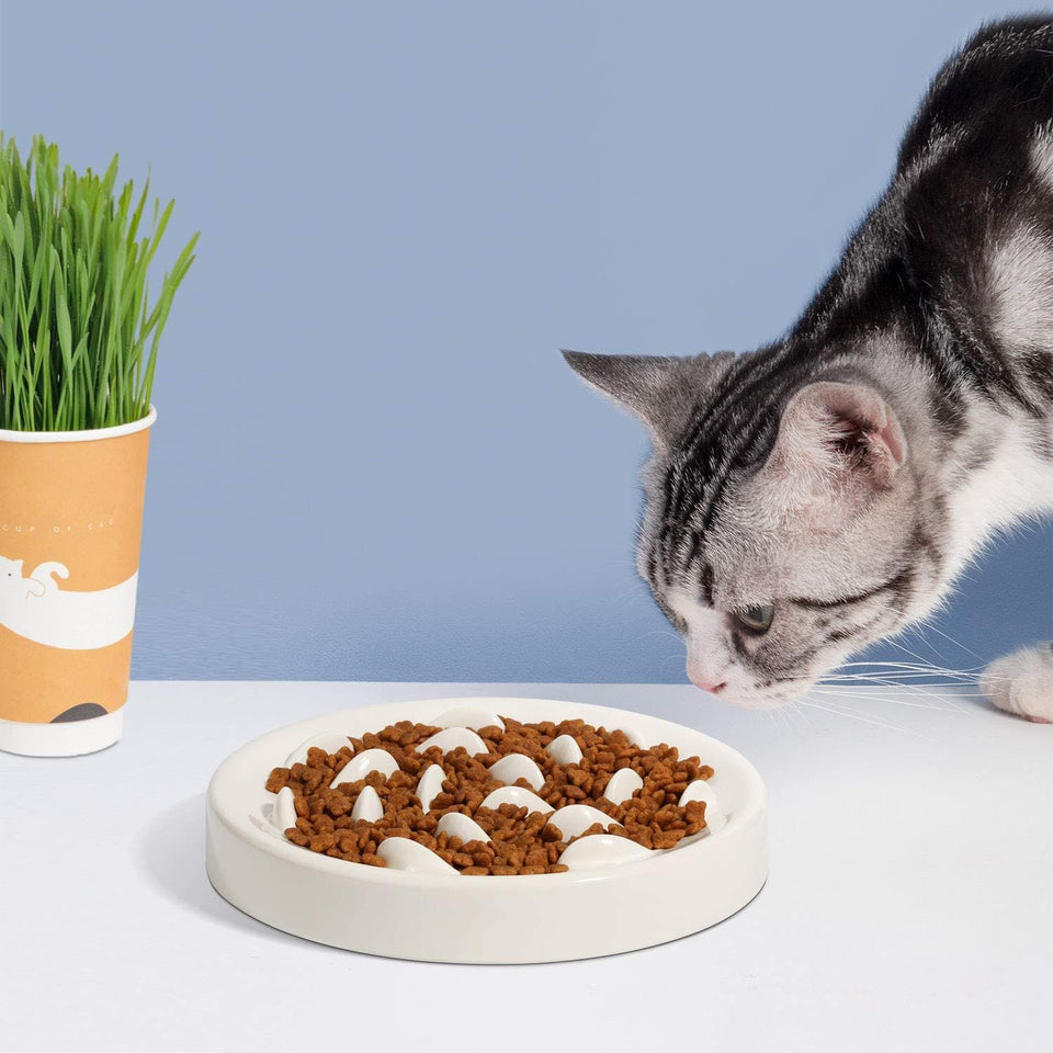 Dogs & Cats Slow Eating Bowl – Easy Feed