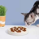 Dogs & Cats Slow Eating Bowl – Easy Feed