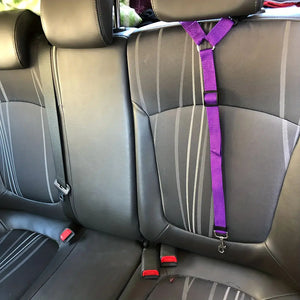 Two-in-One Pet Seat Belt & Leash – Secure Rides